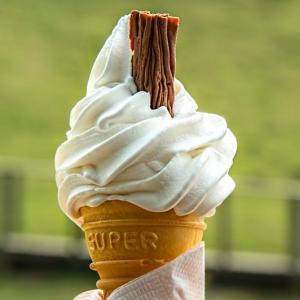 cropped-ice-cream-cone-melting-hot-ice-cream-scoop-161420-1.jpeg